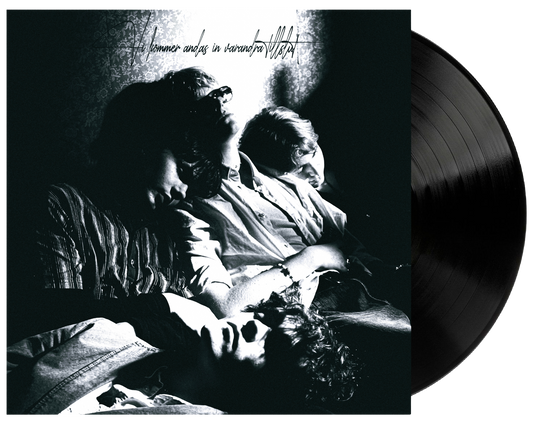 VI KOMMER ANDAS IN VARANDRA TILL SLUT VINYL